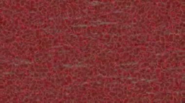 Lüks hareket projeleri için soyut tasarım stili animasyonu olan üst düzey dijital doku