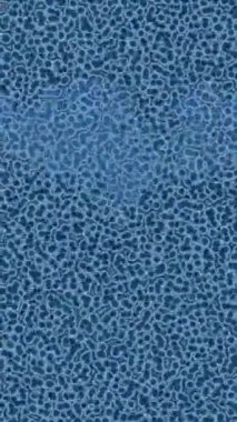 Benzersiz dijital hareket grafiklerine sahip yaratıcı sinematik projeler için yumuşak animasyon yüzeyi