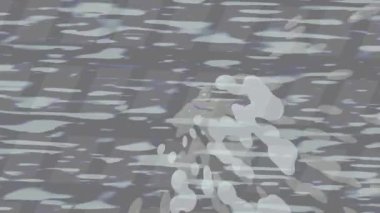 Benzersiz dijital hareket grafiklerine sahip yaratıcı sinematik projeler için yumuşak animasyon yüzeyi