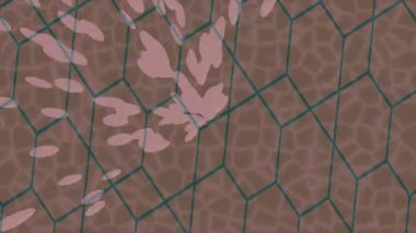 Benzersiz dijital hareket grafiklerine sahip yaratıcı sinematik projeler için yumuşak animasyon yüzeyi