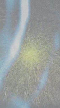 Benzersiz dijital animasyon tarzı grafikleri olan yaratıcı ortam tasarımı için yenilikçi hareket dokusu