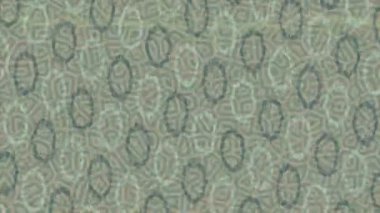 Benzersiz hareket dokusu tasarım sanatı ile profesyonel video düzenleme için modern soyut grafikler