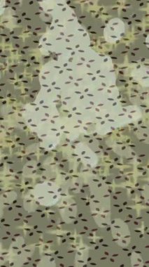 Yaratıcı video düzenleme film tasarımı için benzersiz hareket grafikleri biçimi giriş hareketi video pro