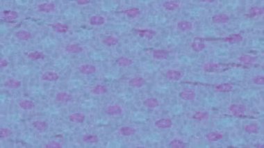 Soyut hareket desenli fütüristik video üretimi için dinamik dijital arkaplan