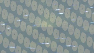 Benzersiz video giriş tasarımı projeleri için detaylı yüzey kalıbı film animasyon stili grafik girişi