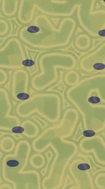 Yaratıcı video düzenleme film arkaplan tasarımı için minimalist organik hareket grafikleri