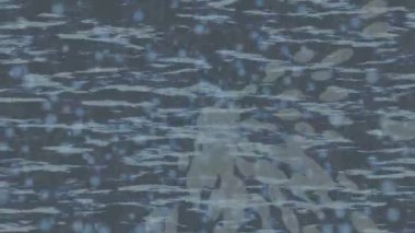 Lüks hareket projeleri için soyut tasarım stili animasyonu olan üst düzey dijital doku