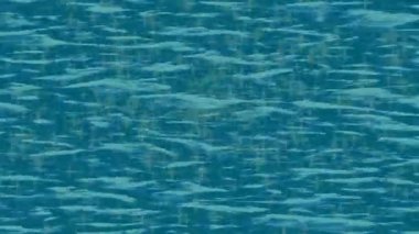 Yaratıcı video düzenleme film arkaplan tasarımı için minimalist organik hareket grafikleri