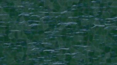 Dijital doku yüzey tasarım biçimi ile modern video animasyonu için gelişmiş hareket grafikleri