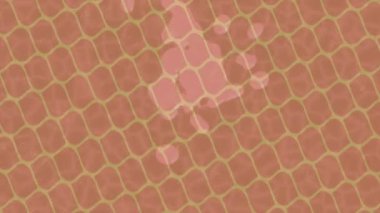 Yaratıcı video düzenleme film arkaplan tasarımı için minimalist organik hareket grafikleri