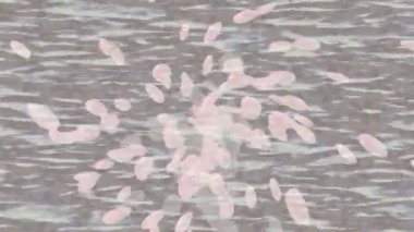 Soyut hareket desenli fütüristik video üretimi için dinamik dijital arkaplan