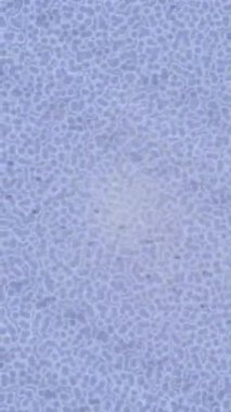 Organik desenli yüzey giriş stili video film sanatı ile soyut arkaplan tasarımı