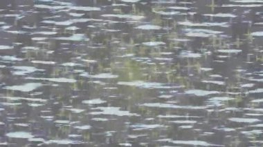 Profesyonel video projeleri sanat tarzı için organik hareketli arkaplan tasarımı