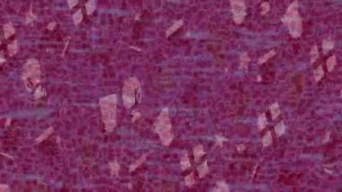 Dijital doku yüzey tasarım biçimi ile modern video animasyonu için gelişmiş hareket grafikleri