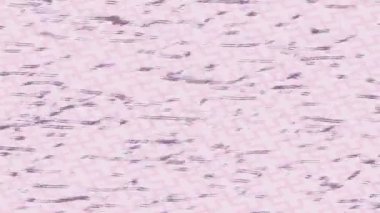 Benzersiz hareket grafikleri tasarım sanatına sahip yaratıcı film üretimi için özet bir arkaplan