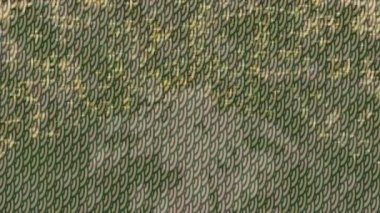 Estetik doku arkaplan tasarımı renkli hareket grafikleri ile moda film giriş profosyoneli