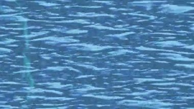 Lüks hareket projeleri için soyut tasarım stili animasyonu olan üst düzey dijital doku