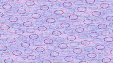 Lüks hareket projeleri için soyut tasarım stili animasyonu olan üst düzey dijital doku