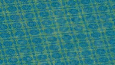 Benzersiz dijital hareket grafiklerine sahip yaratıcı sinematik projeler için yumuşak animasyon yüzeyi