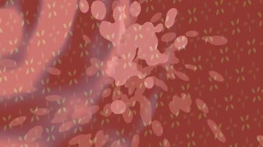 Benzersiz dijital hareket grafiklerine sahip yaratıcı sinematik projeler için yumuşak animasyon yüzeyi