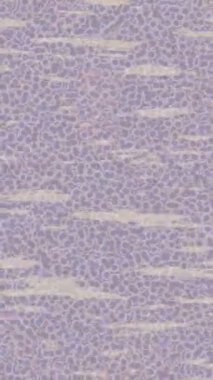 Dijital doku yüzey tasarım biçimi ile modern video animasyonu için gelişmiş hareket grafikleri