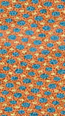 Profesyonel video projeleri sanat tarzı için organik hareketli arkaplan tasarımı