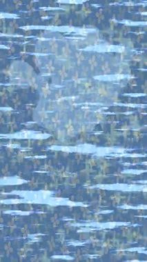 Yaratıcı video düzenleme film tasarımı için benzersiz hareket grafikleri biçimi giriş hareketi video pro