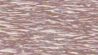 Benzersiz dijital hareket grafiklerine sahip yaratıcı sinematik projeler için yumuşak animasyon yüzeyi