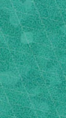 Yaratıcı video düzenleme film tasarımı için benzersiz hareket grafikleri biçimi giriş hareketi video pro