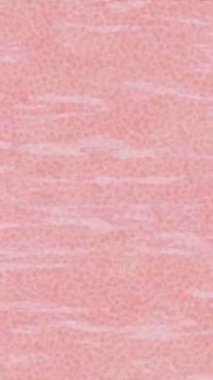 Yaratıcı video düzenleme film tasarımı için benzersiz hareket grafikleri biçimi giriş hareketi video pro