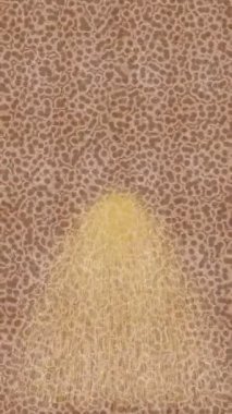 Benzersiz hareket grafikleri tasarım sanatına sahip yaratıcı film üretimi için özet bir arkaplan