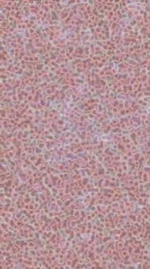 Modern medya üretimi için fütüristik dijital soyut doku sinematik tarz hareketli grafik ögesi