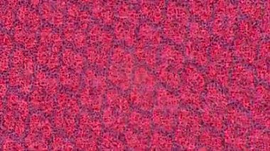 Estetik doku arkaplan tasarımı renkli hareket grafikleri ile moda film giriş profosyoneli