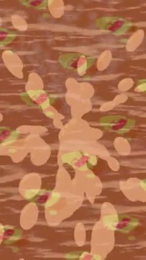 Estetik doku arkaplan tasarımı renkli hareket grafikleri ile moda film giriş profosyoneli