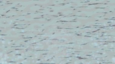 Yaratıcı video düzenleme film tasarımı için benzersiz hareket grafikleri biçimi giriş hareketi video pro