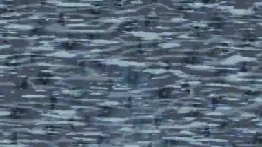 Benzersiz hareket grafikleri tasarım sanatına sahip yaratıcı film üretimi için özet bir arkaplan