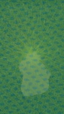 Lüks hareket tasarımı üst düzey video projeleri ve dijital sanat için zarif, pürüzsüz bir dokusu var.