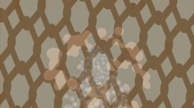 Yaratıcı video düzenleme film arkaplan tasarımı için minimalist organik hareket grafikleri