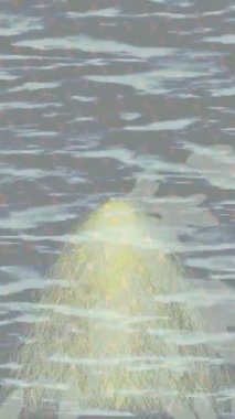 Benzersiz hareket dokusu tasarım sanatı ile profesyonel video düzenleme için modern soyut grafikler