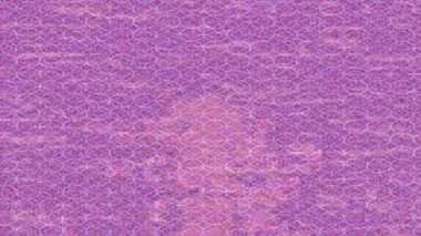 Benzersiz video giriş tasarımı projeleri için detaylı yüzey kalıbı film animasyon stili grafik girişi