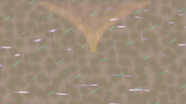 Lüks hareket tasarımı üst düzey video projeleri ve dijital sanat için zarif, pürüzsüz bir dokusu var.