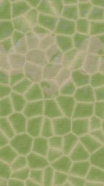 Benzersiz video giriş tasarımı projeleri için detaylı yüzey kalıbı film animasyon stili grafik girişi