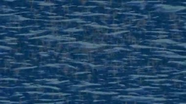 Lüks hareket tasarımı üst düzey video projeleri ve dijital sanat için zarif, pürüzsüz bir dokusu var.