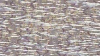 Benzersiz hareket grafikleri tasarım sanatına sahip yaratıcı film üretimi için özet bir arkaplan