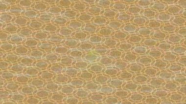 Yaratıcı video düzenleme film arkaplan tasarımı için minimalist organik hareket grafikleri