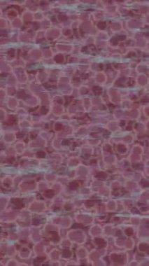 Benzersiz hareket grafikleri tasarım sanatına sahip yaratıcı film üretimi için özet bir arkaplan