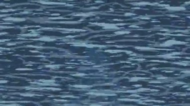 Estetik doku arkaplan tasarımı renkli hareket grafikleri ile moda film giriş profosyoneli