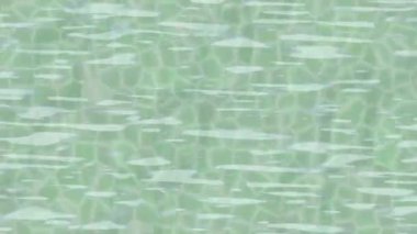 Organik desenli yüzey giriş stili video film sanatı ile soyut arkaplan tasarımı