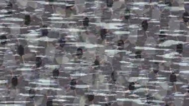 Lüks hareket projeleri için soyut tasarım stili animasyonu olan üst düzey dijital doku