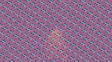 Benzersiz hareket grafikleri tasarım sanatına sahip yaratıcı film üretimi için özet bir arkaplan